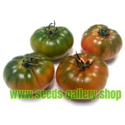 Semillas de tomate sic. Costoluto Pachino - Heirloom