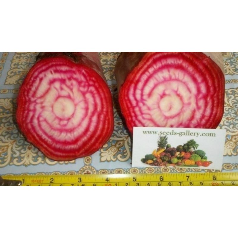 Exotic Beetroot Seeds - Chioggia | 1.55 €