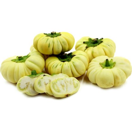 African eggplant Seeds (Solanum aethiopicum) | €2.45