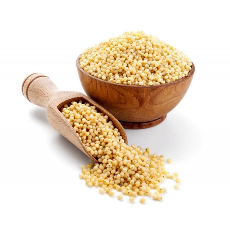 Proso Millet Seeds (Panicum miliaceum) Price €1.95