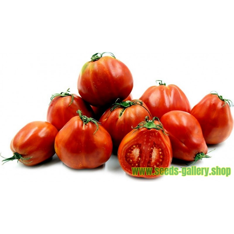 Heirloom RED PEAR PIRIFORM Tomato Seeds