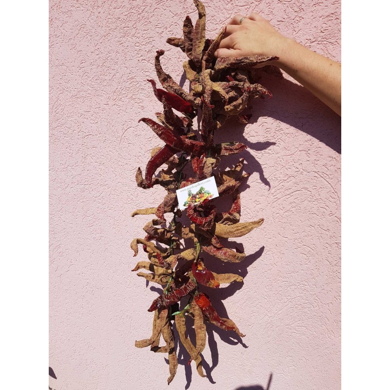 Price: €75 - "Vezanka" Piment 500 Graines - Variété ancienne Serbie - Seeds Gallery