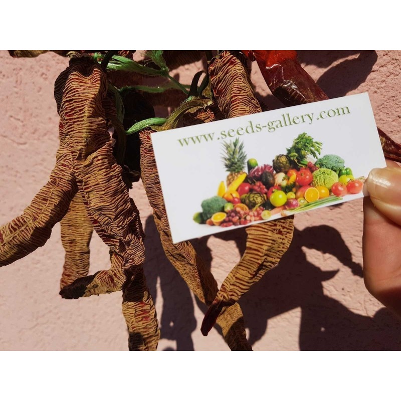 "Vezanka" Ljuta Paprika 500 Semena | 75,00 €