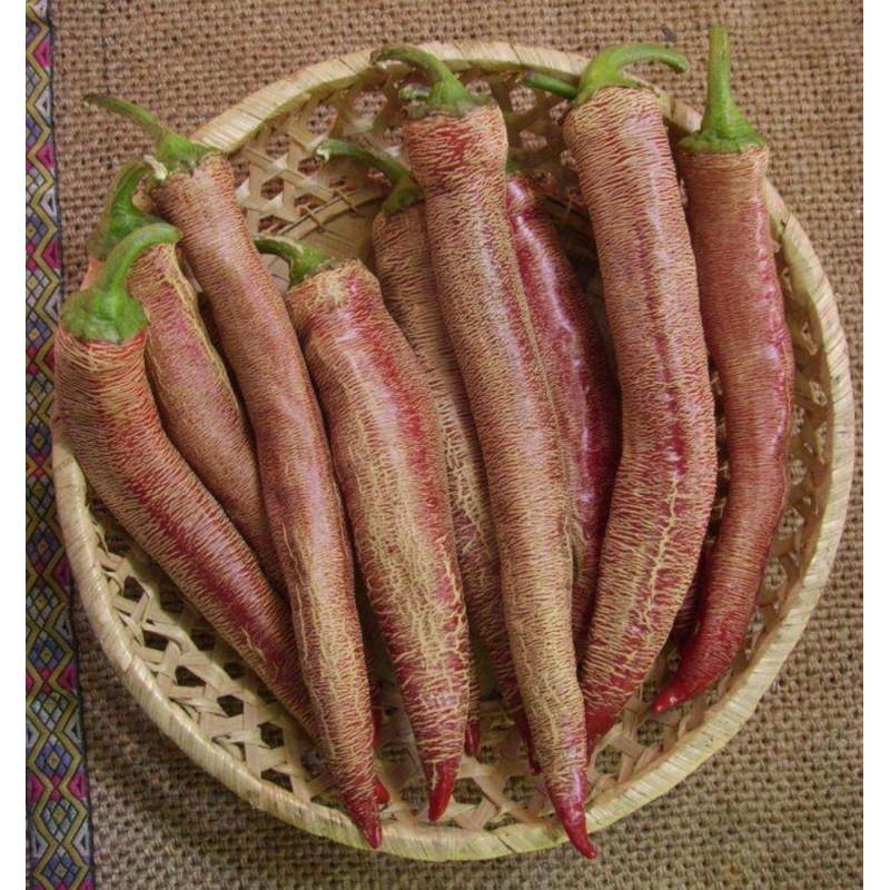 Price: €75 - "Vezanka" Piment 500 Graines - Variété ancienne Serbie - Seeds Gallery