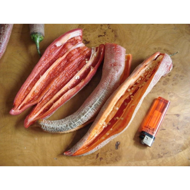 Pimenta "Vezanka" 500 Sementes - Antigo variedade sérvio | 75,00 €