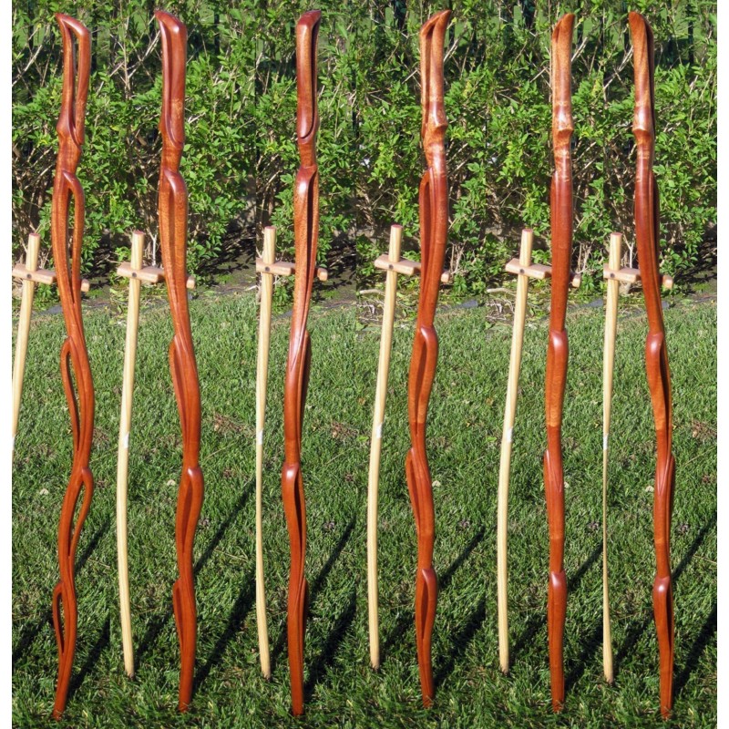 Σπόροι ΓΊΓΑΝΤΑΣ ΛΆΧΑΝΟ ΔΕΝΤΡΟ (Brassica oleracea var. Longata) | 2,85 €