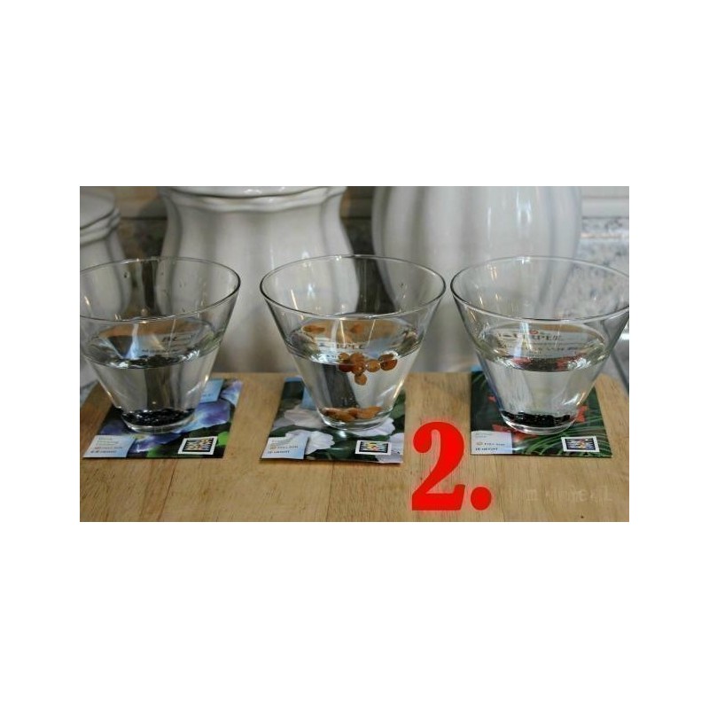 Germinación de las semillas de Pasiflora | 0,00 €