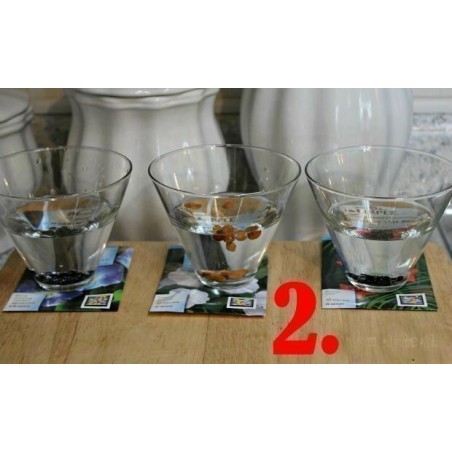 Price: €0 - Propagation - Sowing Passiflora Seeds -  - 2