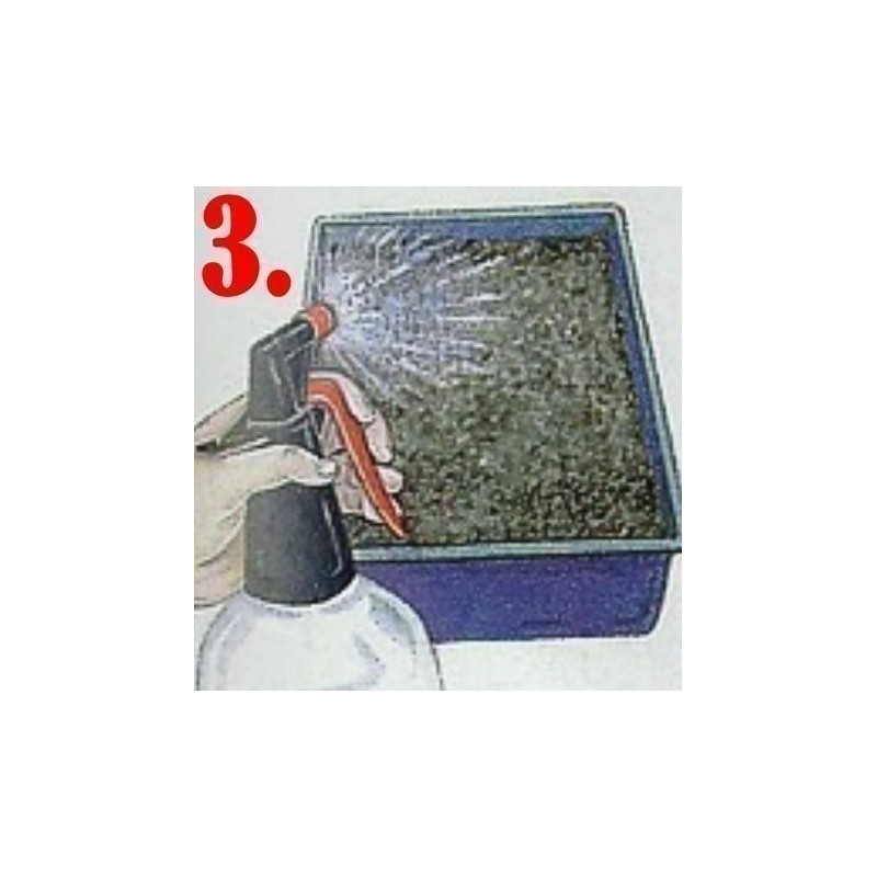 Germinación de las semillas de Pasiflora | 0,00 €