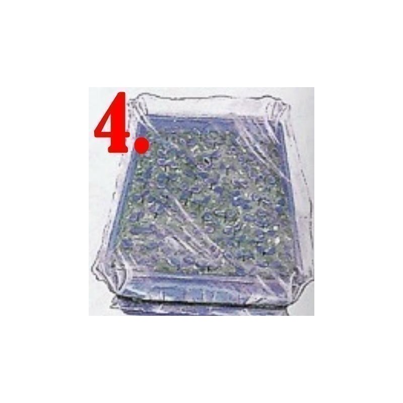 Germinación de las semillas de Pasiflora | 0,00 €