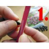 Price: €0 - Passiflora - Fiore Della Passione - Moltiplicazione Per Seme -  - 1
