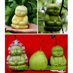 Frukt formens i form av Buddha, päron, melon