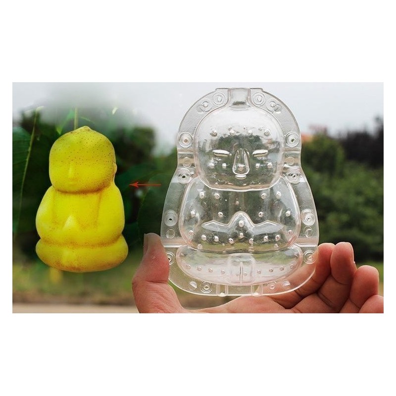Fruit Mold in the form of Buddha, pear, Muskmelon… Price €15.00