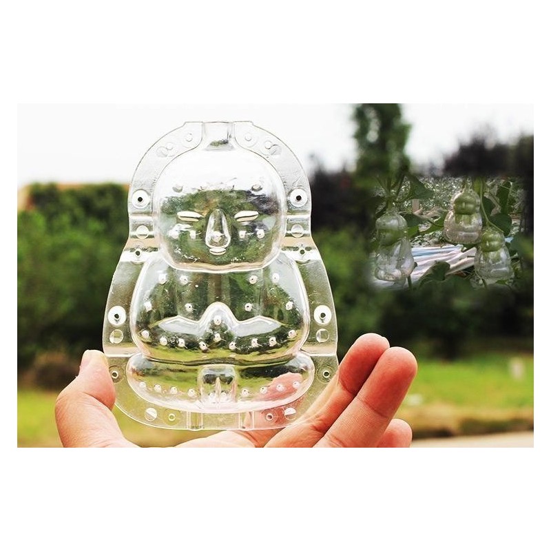 Moules à fruits : Façonnez des fruits aux formes extraordinaires | 15,00 €