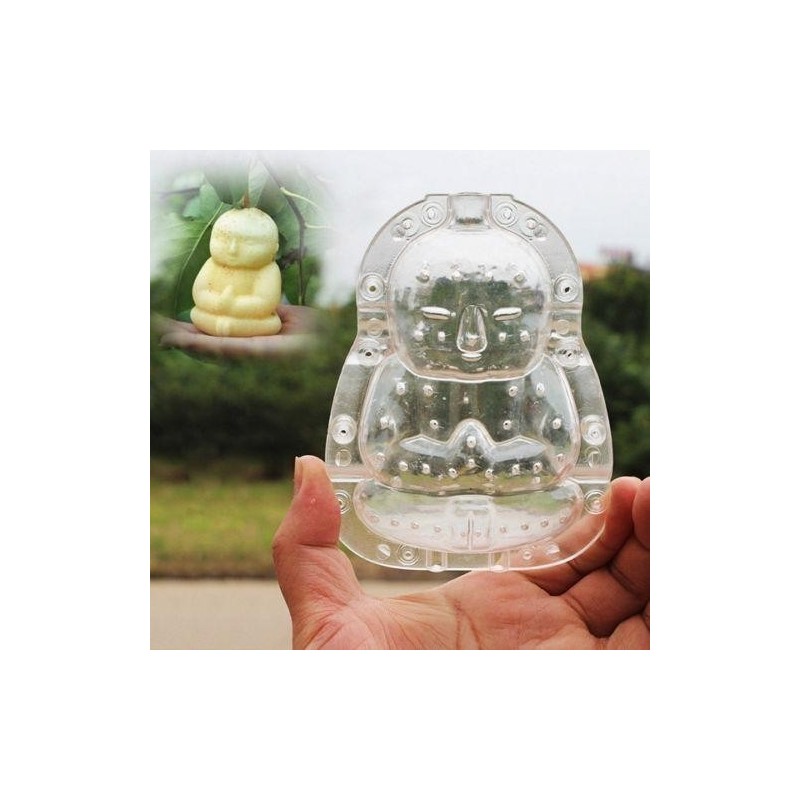 Moules à fruits : Façonnez des fruits aux formes extraordinaires | 15,00 €