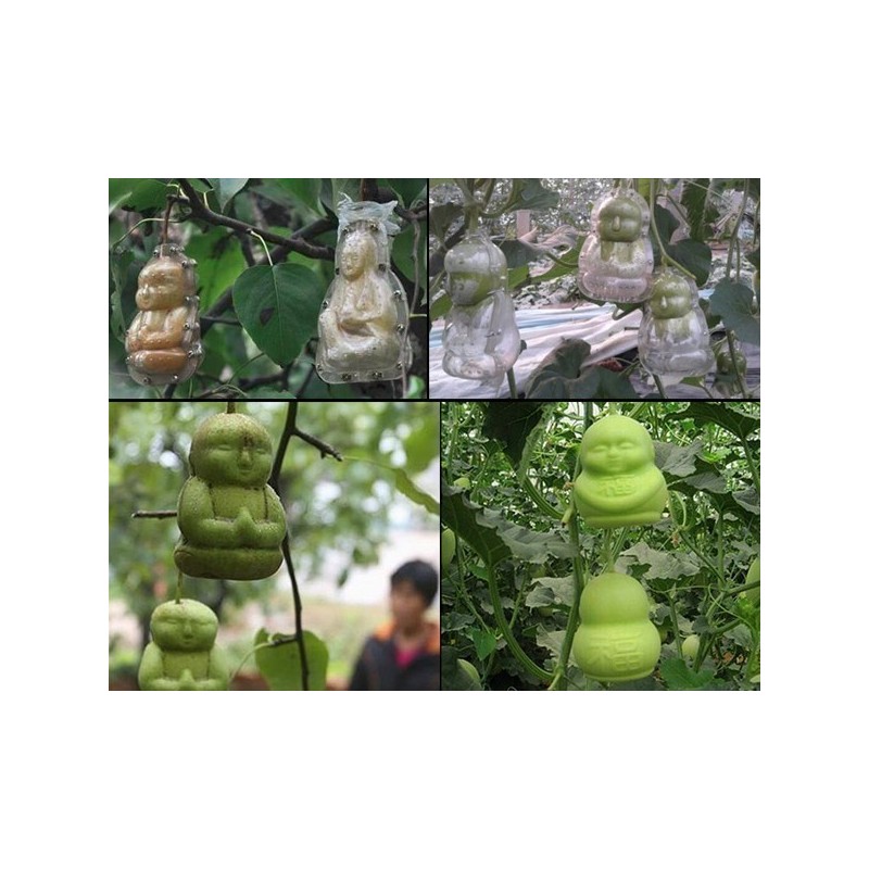 Moules à fruits : Façonnez des fruits aux formes extraordinaires | 15,00 €