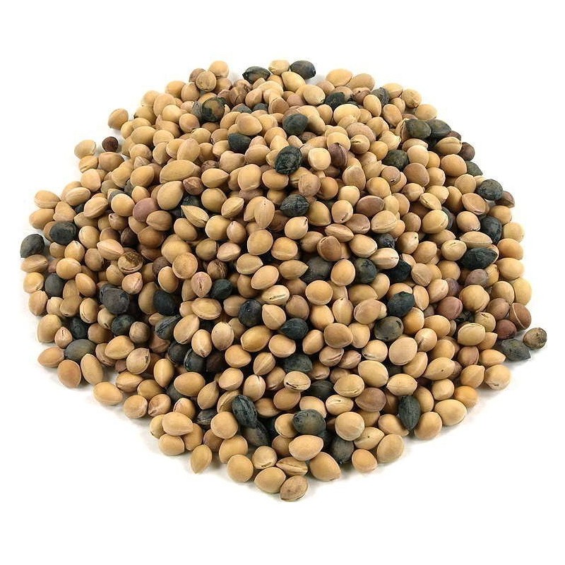 Mahaleb Cherry Seeds (Prunus mahaleb) | €2.20