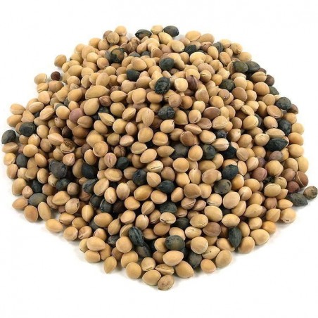 بذور كرز المحلب (برونوس محلب) | 2.20 €