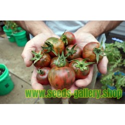 Black Vernissage Tomato Seeds