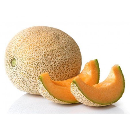 Yubari King Melon Frön Den dyraste frukten på världen | 4,95 €