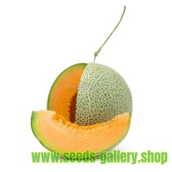 Semillas de Rare "Luxury" Yubari King Melon