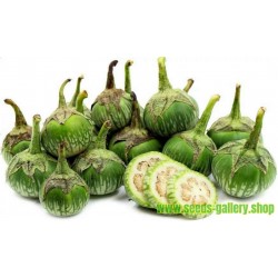 Thai Green Eggplant Seeds (Solanum melongena)