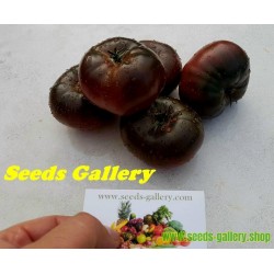 Pink and Black Marquise Tomato Seeds