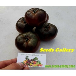Pink and Black Marquise Tomato Seeds