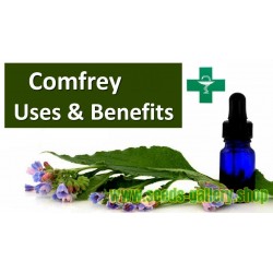 Comfrey Seeds - Symphytum officinale