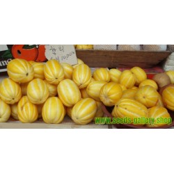Sun Jewel , Chamoe, Korean melon Seeds