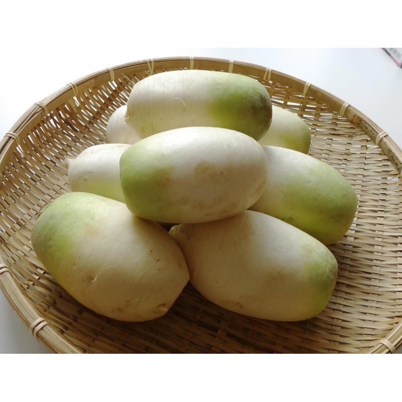 Native Korean Radish YEOL MOO Seeds