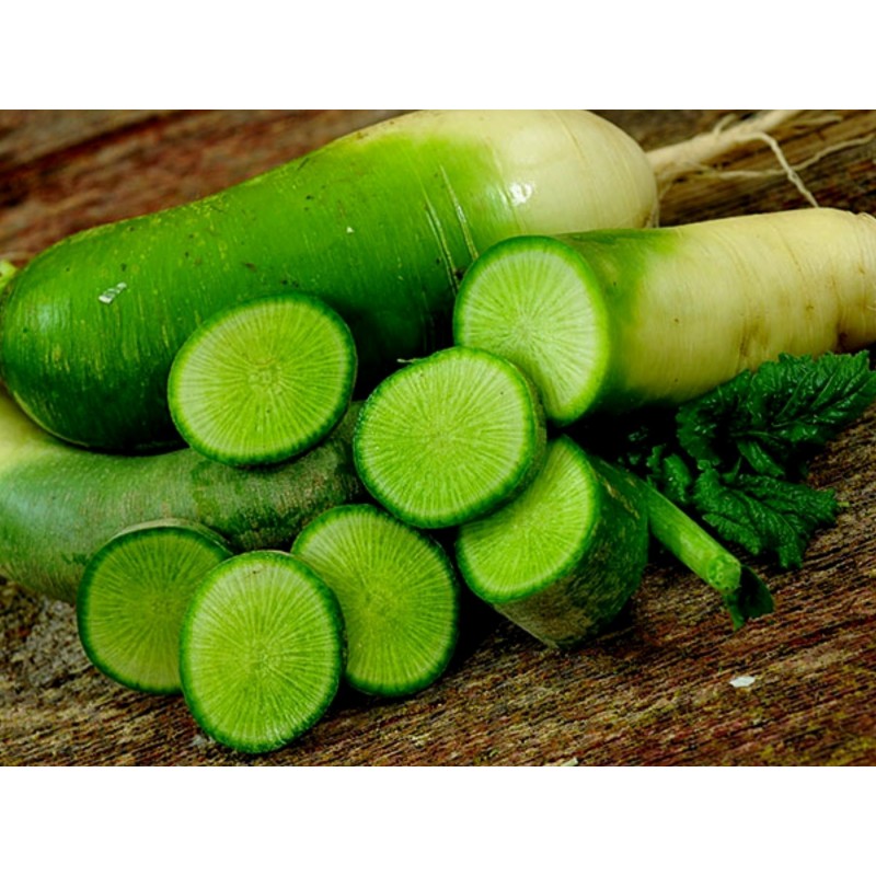 Kinesisk Grön Rädisa Luobo frö | 2,45 €
