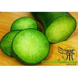 Chinese Green Luobo Radish Seeds