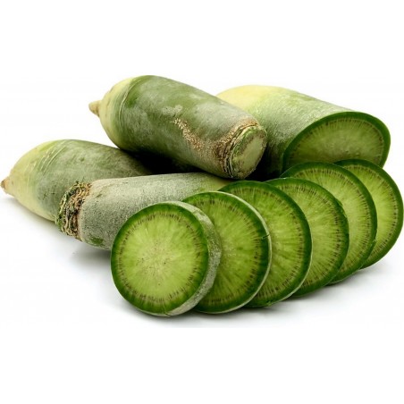 Kineska Zelena Rotkvica LUOBO Seme | 2,45 €