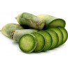 Kinesisk Grön Rädisa Luobo frö | 2,45 €