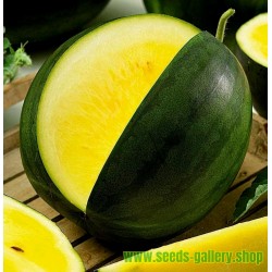 Yellow Watermelon JANOSIK 100 Seeds
