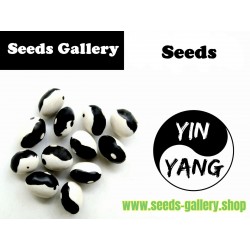 Σπόροι Φασόλια Calypso - Orca - Yin Yang