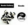 Orca, YinYang, Calypso Bohnen Samen | 4,75 €