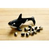 Orca, YinYang, Calypso Bohnen Samen | 4,75 €