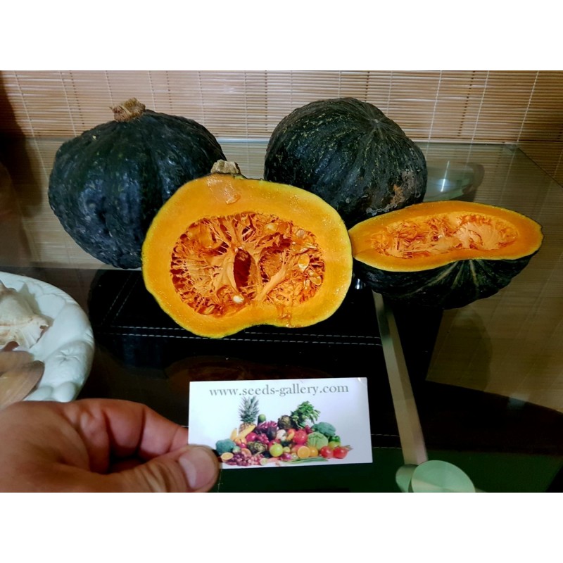 Semi di Zucca Verde Kabocha - Hokkaido | 2,35 €