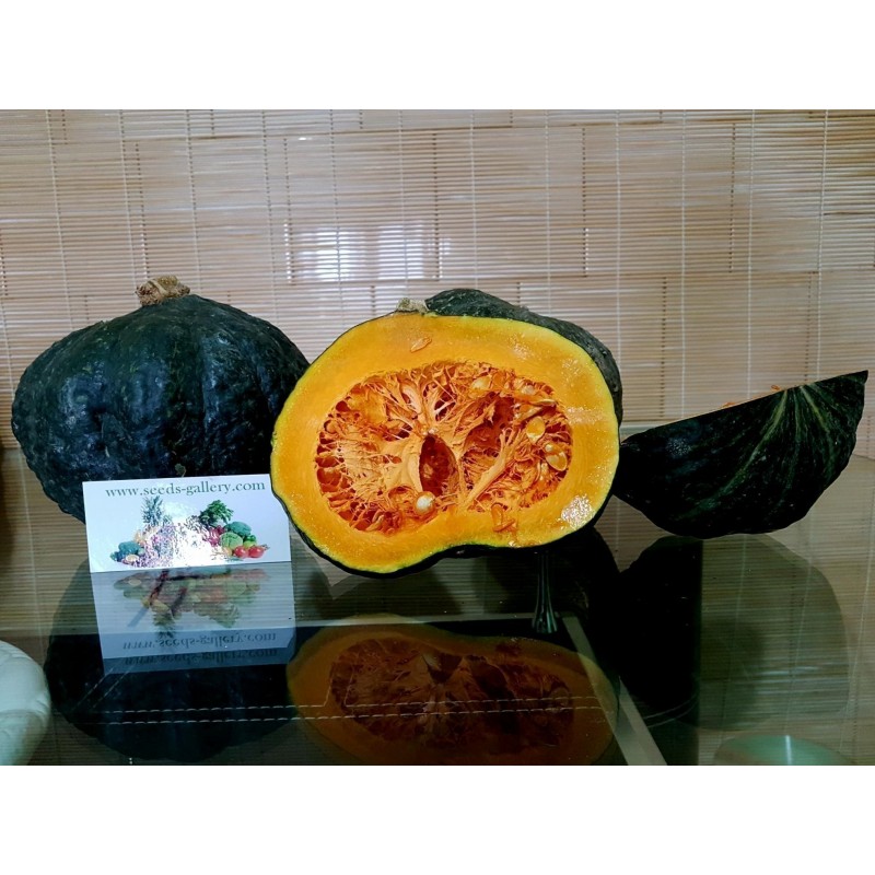 Semi di Zucca Verde Kabocha - Hokkaido | 2,35 €