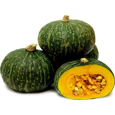 Zelena Kabocha - Hokkaido Bundeva Seme | 2,35 €