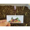 Saffron Seeds (Saffron crocus) | €2.85