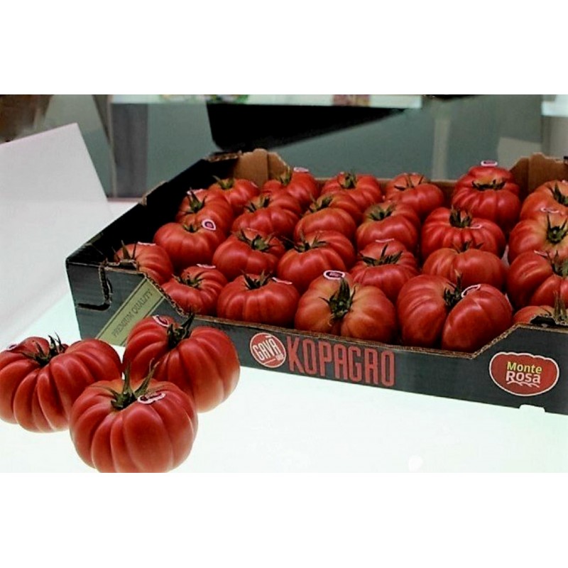 Graines de tomate Monte Rosa | 2,05 €