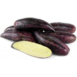 Graines Pepino Ou Poire-Melon Géant Violet Rares (Solanum muricatum)