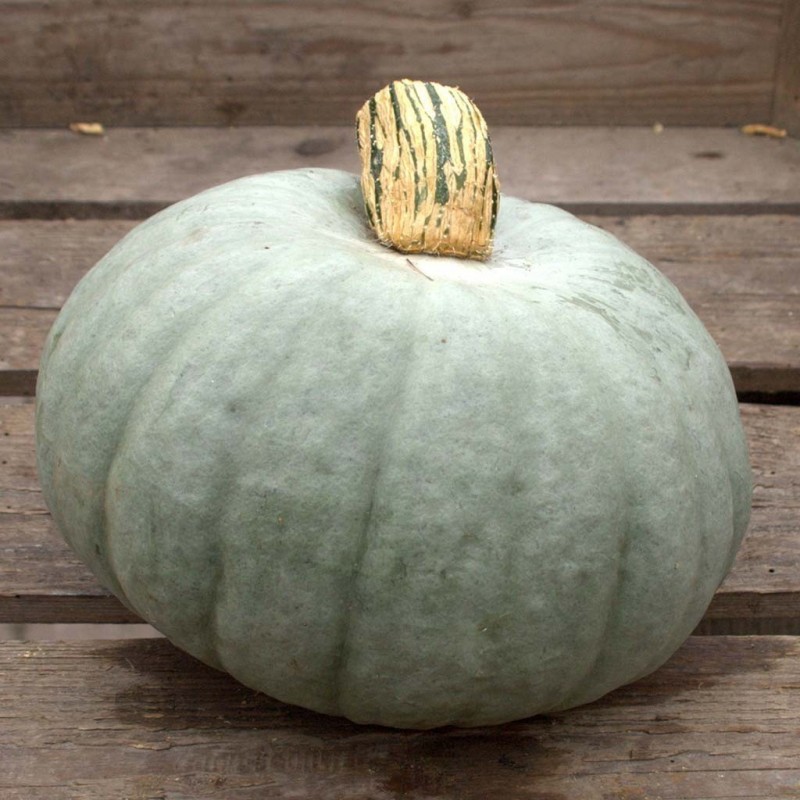 Semi Cina | Bokep Marina Semi Cina | Bokep Marina