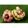Manila Tamarind Seme (Pithecellobium dulce) | 2,50 €