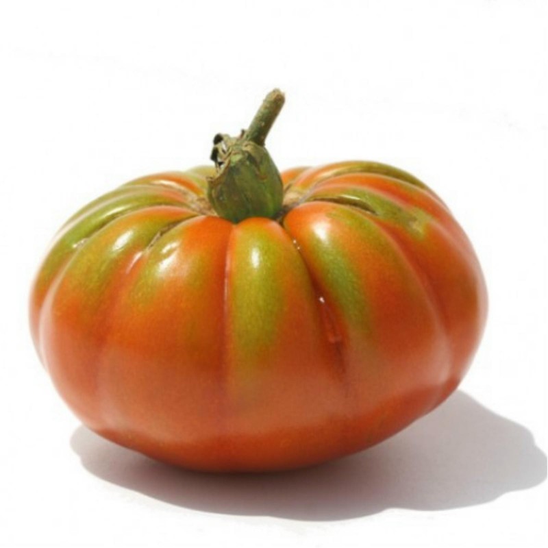 Tomato Pantano Romanesco - Beefsteak Seeds (Lycopersicon esculentum)