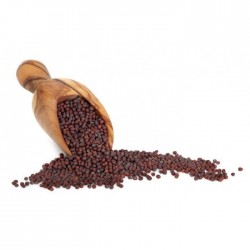 Especias de mostaza negra / marrón - sin moler