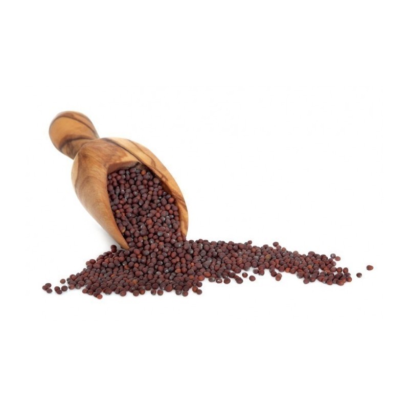 Schwarze / braune Senfgewürze - ungemahlen | 1,70 €